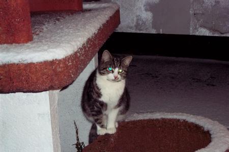 Bild zu 