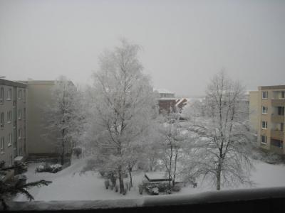 Bild zu Auch Winterbilder - Baby Forum - Allgemeine Themen