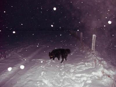 Bild zu Schneeeeeeefotoooooos  :-) - Baby Forum - Allgemeine Themen