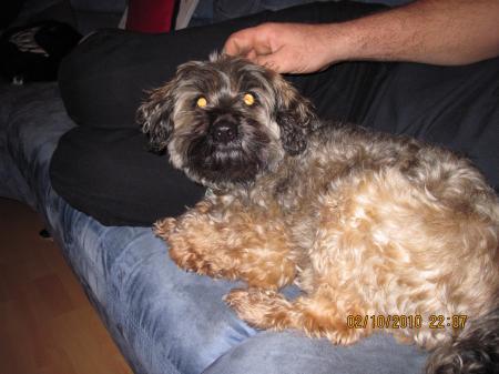 Bild zu