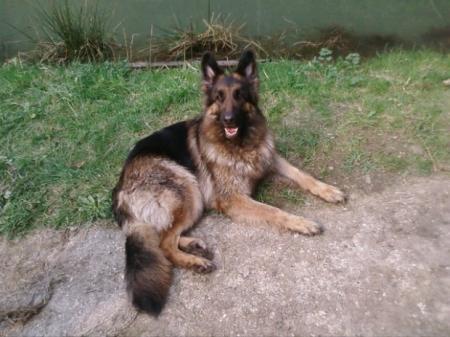 Bild zu