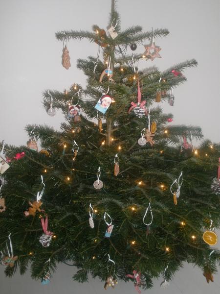 Bild zu