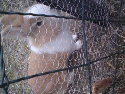 Bild zu unsere tiere - Baby Forum - Allgemeine Themen