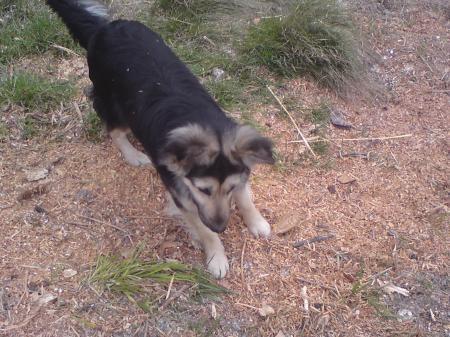 Bild zu