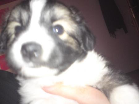 Bild zu