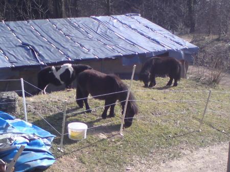 Bild zu