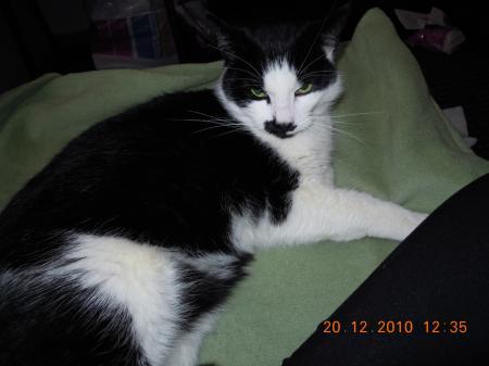 Bild zu
