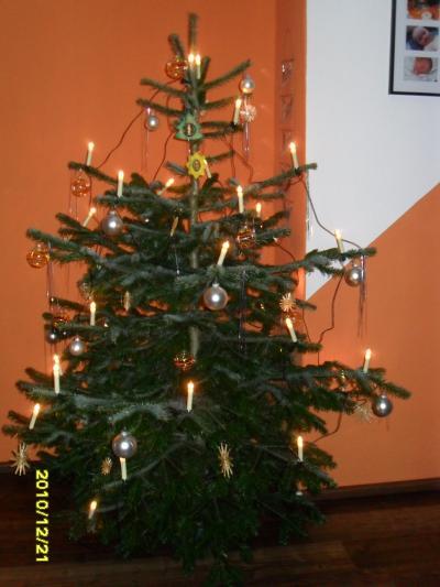 Bild zu Ich hab' auch nen Weihnachtsbaum...Ätsch! - Baby Forum - Allgemeine Themen