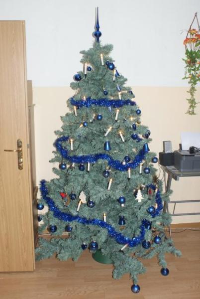 Bild zu