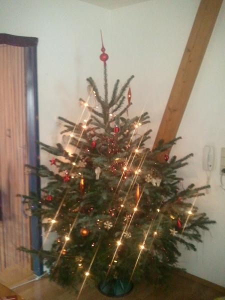 Bild zu 
