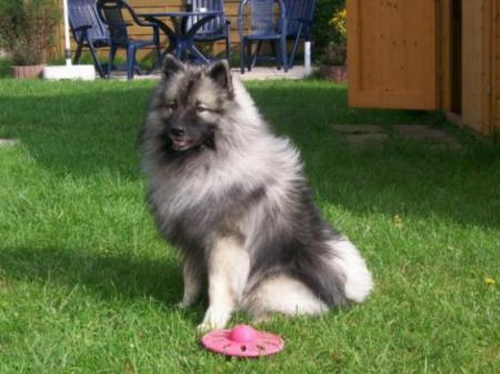 Bild zu 
