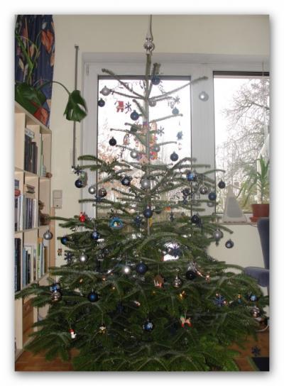 Bild zu unser Baum ist auch fertig - Baby Forum - Allgemeine Themen