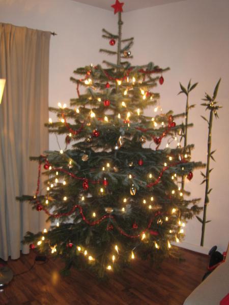 Bild zu 