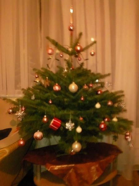 Bild zu