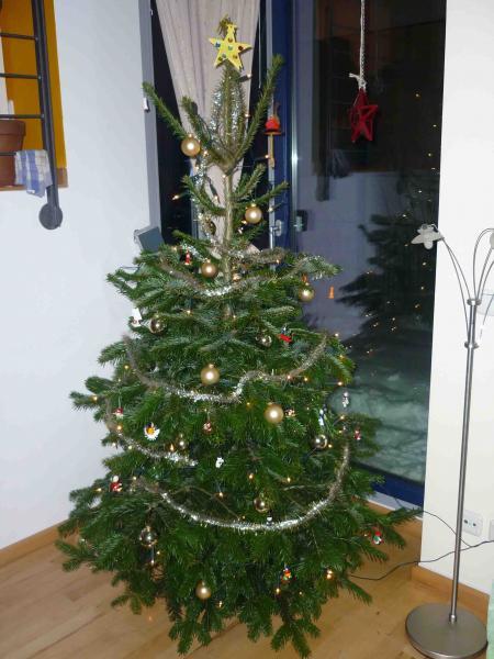 Bild zu