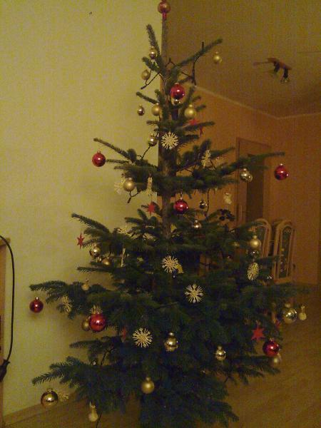 Bild zu 