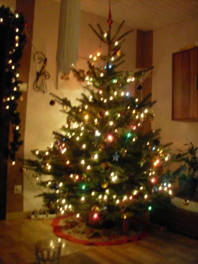Bild zu marion der baum!!!! - Baby Forum - Allgemeine Themen