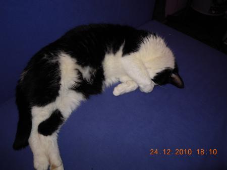 Bild zu
