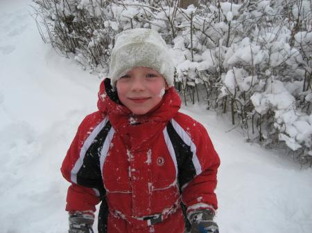 Bild zu