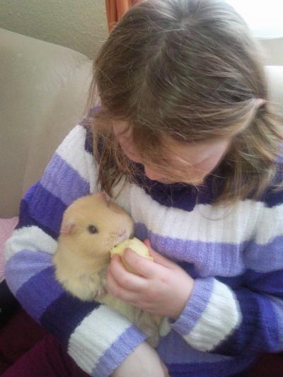 Bild zu @fru......meerschweinchen geht es - Baby Forum - Allgemeine Themen