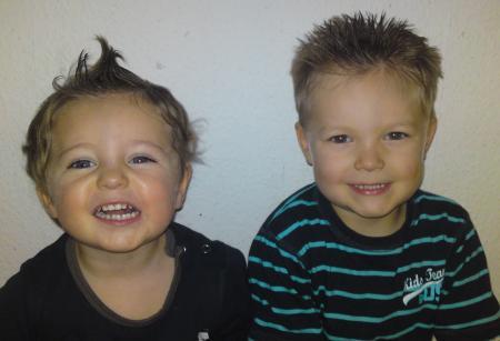 Bild zu