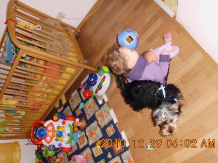 Bild zu