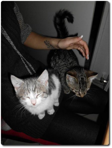 Bild zu