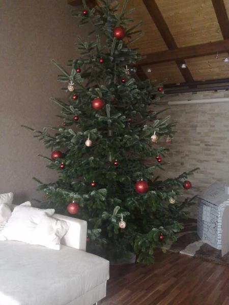 Bild zu