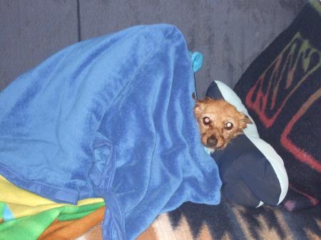 Bild zu