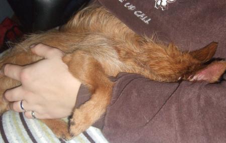 Bild zu 
