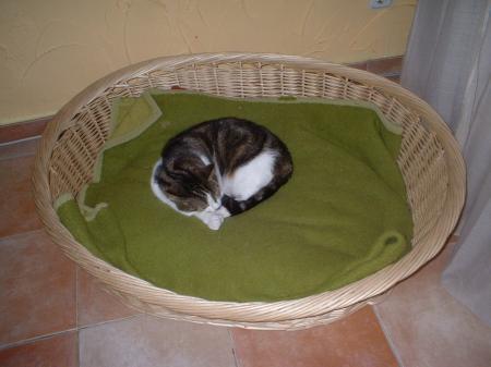 Bild zu 