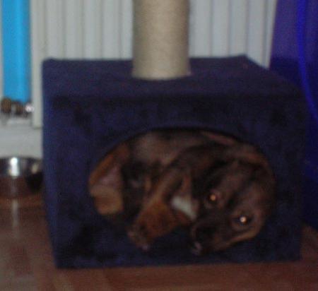 Bild zu 