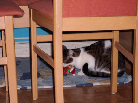 Bild zu 