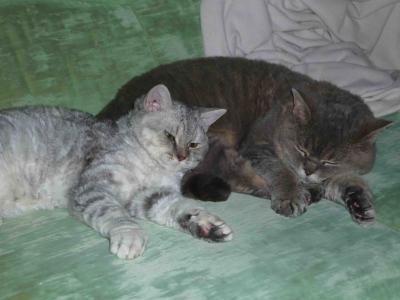 Bild zu @Tränchen....guck mal das sind Beide.... - Baby Forum - Allgemeine Themen