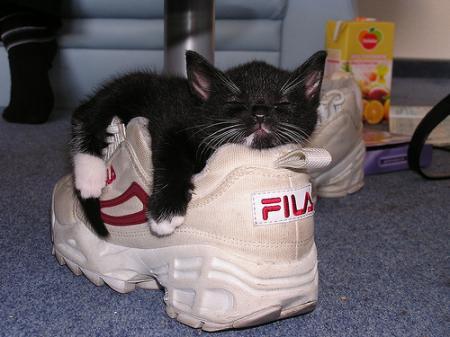 Bild zu 