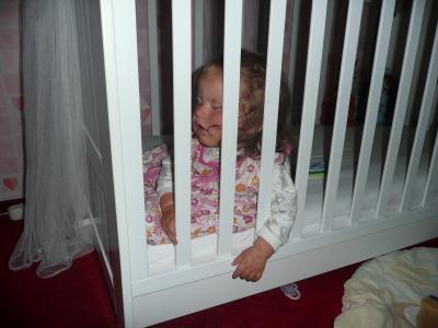 Bild zu ich hab grad ein cooles Bild von meiner Hummel gefunden...Haha ich hau - Baby Forum - Allgemeine Themen