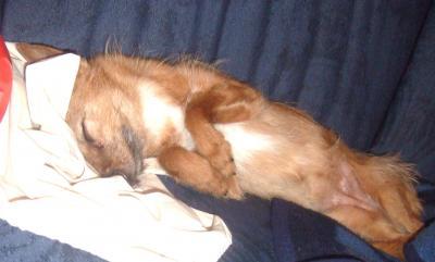 Bild zu also - Baby Forum - Allgemeine Themen