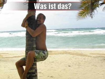 Bild zu weil´s so schön is.... mein rätsel - Baby Forum - Allgemeine Themen