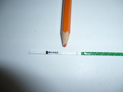 Bild zu Guckt mal bitte: Schwangerschatstest - Baby Forum - Allgemeine Themen