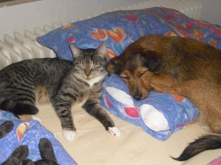 Bild zu 