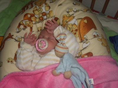 Bild zu Mausi hat sich nun doch entschieden! - Baby Forum - Allgemeine Themen