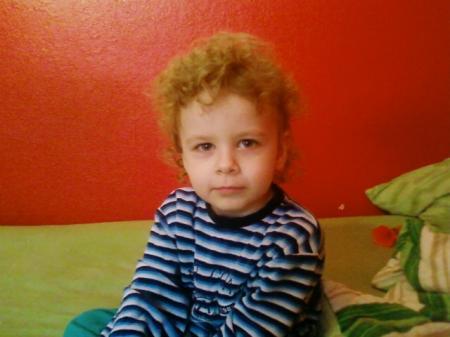 Bild zu