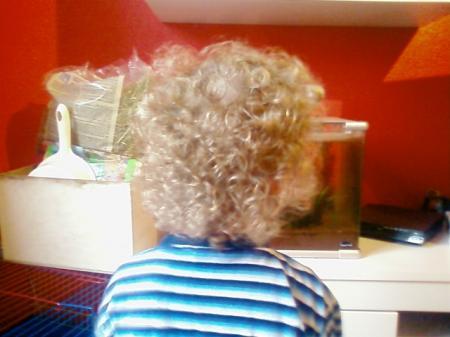 Bild zu