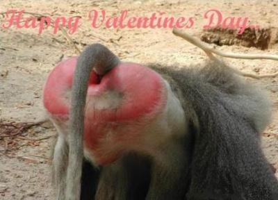 Bild zu Minimann let me be your Valentine (oder so ähnlich) - Baby Forum - Allgemeine Themen