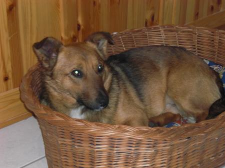 Bild zu 