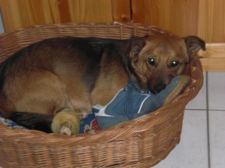 Bild zu 