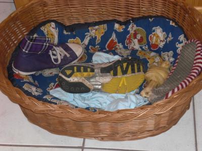 Bild zu EPddWnb Unser kleiner Hundemann steigert sich ( Schuhe) - Baby Forum - Allgemeine Themen