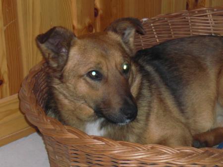 Bild zu 