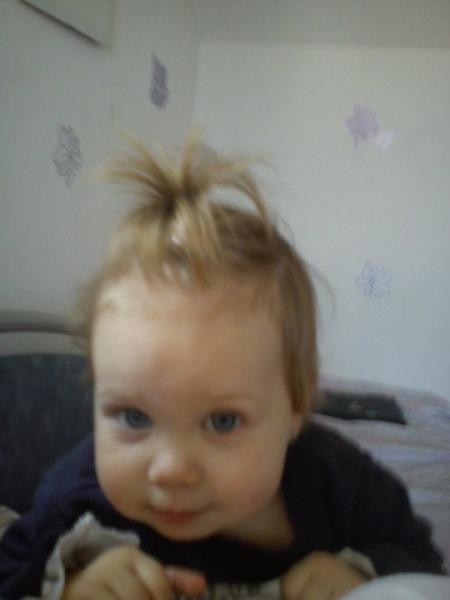 Bild zu 