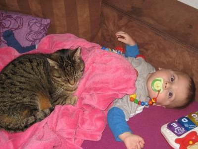 Bild zu lo, in 5 Monaten wird er 2 - Baby Forum - Allgemeine Themen